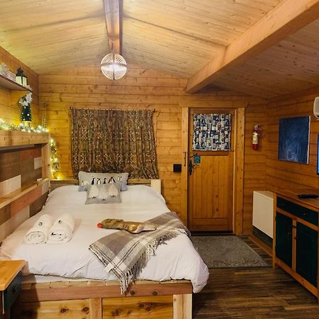 Fancy Fireflies Cabin Хейвард Экстерьер фото