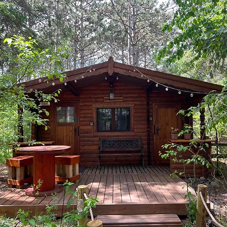 Fancy Fireflies Cabin Хейвард Экстерьер фото