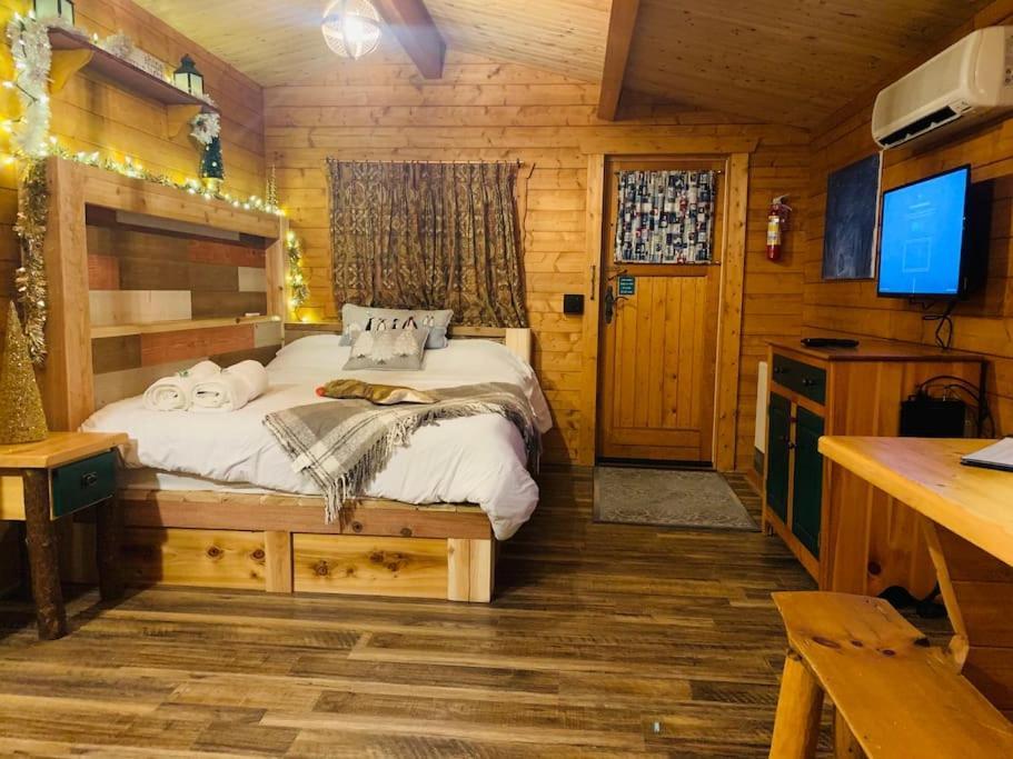 Fancy Fireflies Cabin Хейвард Экстерьер фото