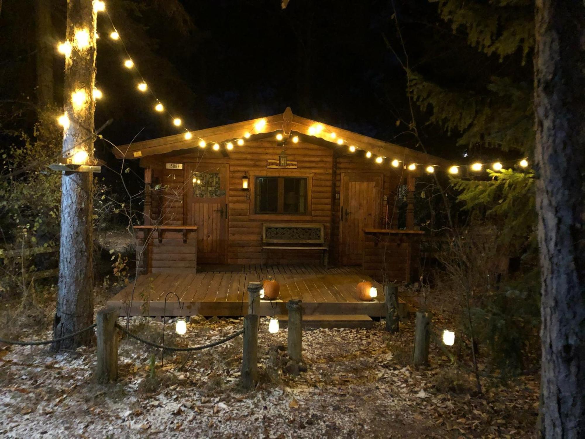 Fancy Fireflies Cabin Хейвард Экстерьер фото