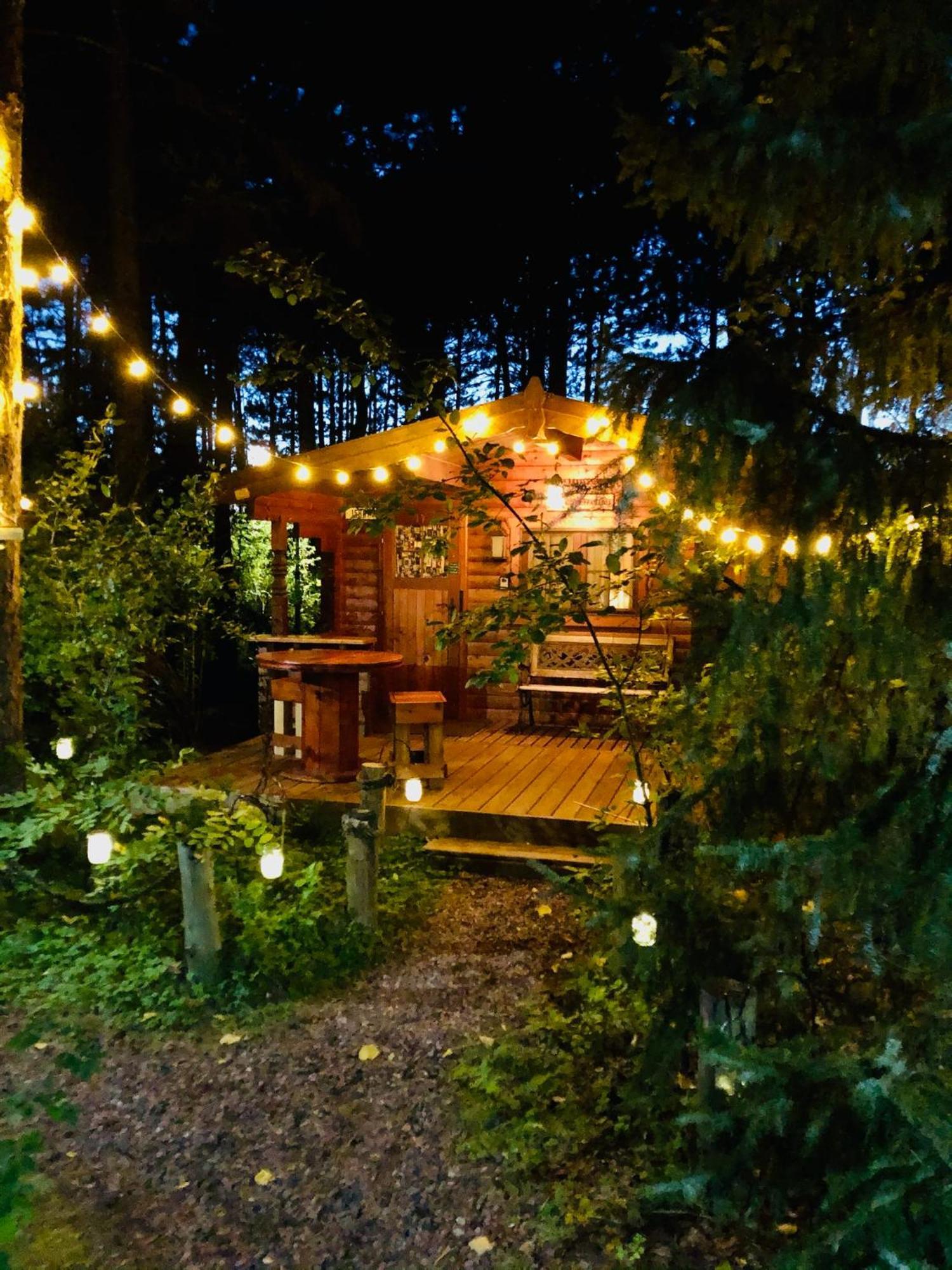 Fancy Fireflies Cabin Хейвард Экстерьер фото